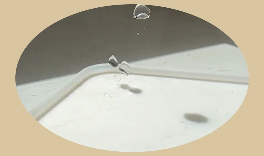 [무료배송]  초코펫하우스 퍼펙트 토일렛 2.0  싱글/더블 2번째