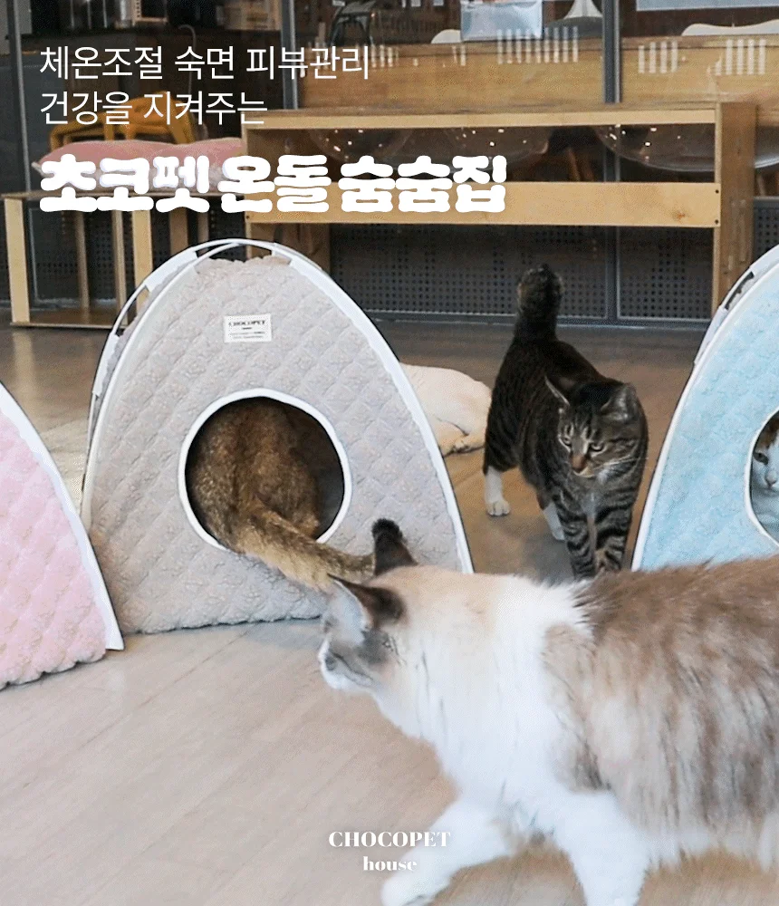 [무료배송] 초코펫하우스 고양이집 겨울 보온 온돌 숨숨집 2번째