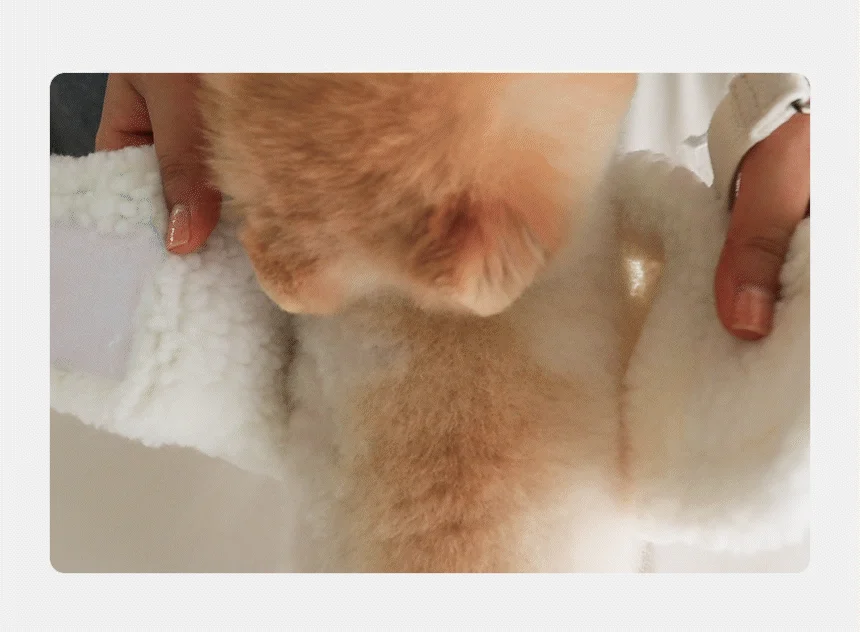 [무료배송] 초코펫하우스 산책왕 보온 무스탕 하네스 11번째