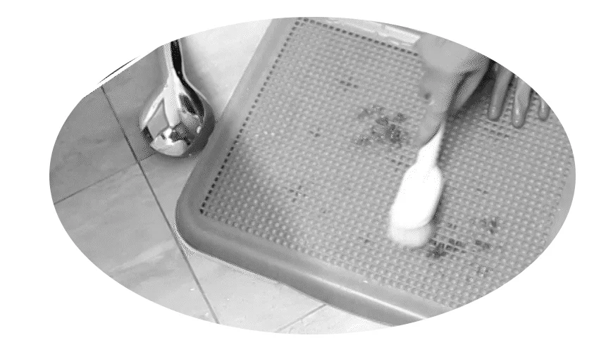 [무료배송]  초코펫하우스 퍼펙트 토일렛 2.0  싱글/더블 16번째