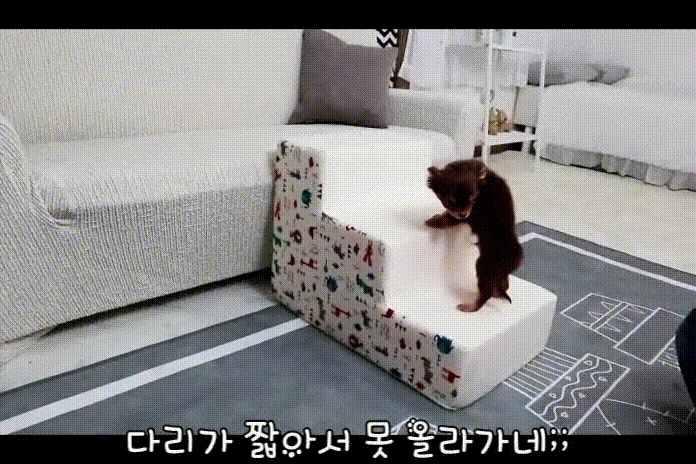 [무료배송] 초코펫하우스 논슬립 스텝 3.0 그레이/아이보리/핑크 18번째