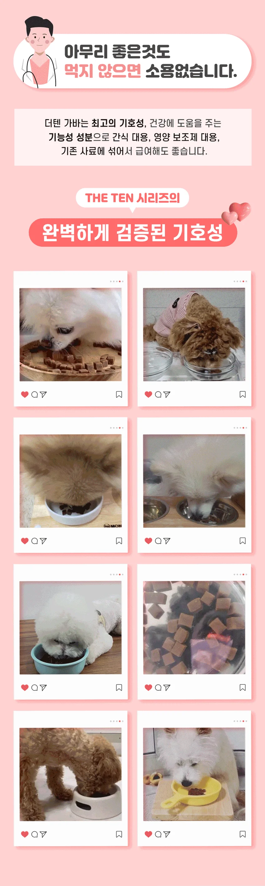 [아듀특가]더텐 독 소프트 반건조 가바&심신안정 1kg 7번째