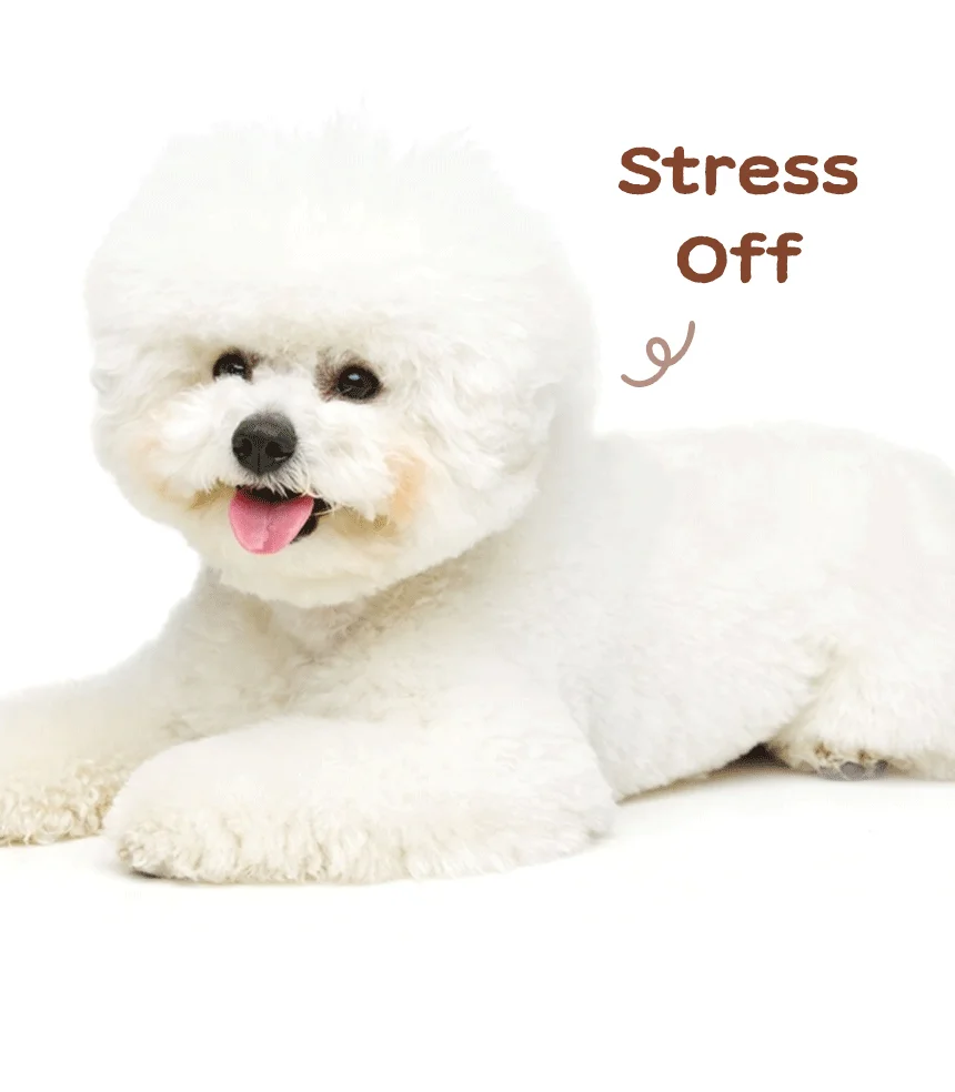 [NEW신상][무료배송] 데이스포 독 우리아이 오리 덤벨 사사미껌 1kg 9번째