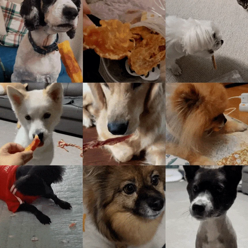 [NEW신상][무료배송] 데이스포 독 우리아이 오리 소프트 사사미 1kg 1번째