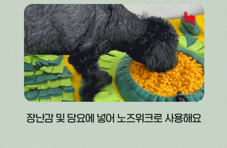 [무료배송] 슈퍼포우 굿보이트릿 후코이단 200g 11번째