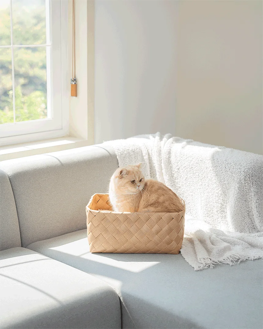 [NEW신상][무료배송] 큐빅스펫 워셔블 바스켓 숨숨집 2color 18번째