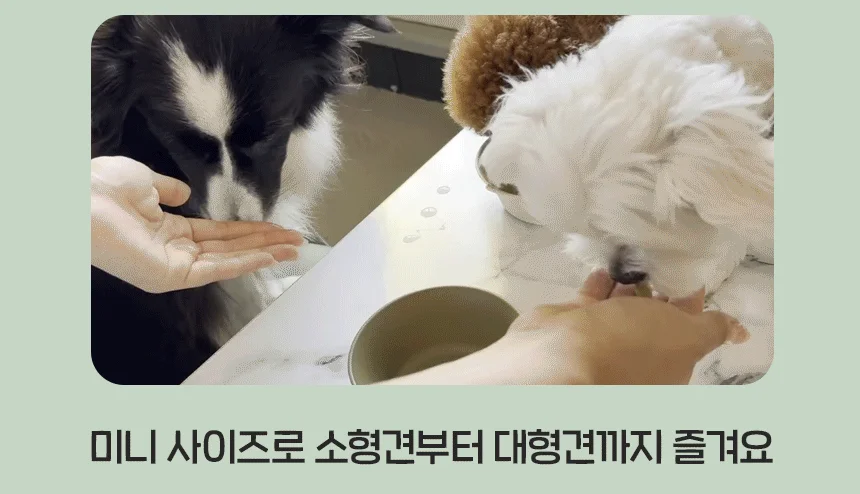 [무료배송] 슈퍼포우 굿보이트릿 후코이단 200g 8번째