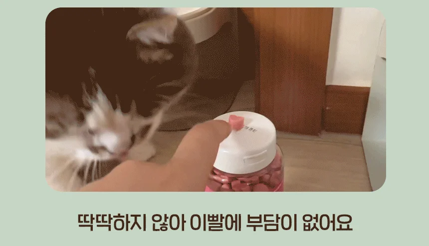 [무료배송] 슈퍼포우 굿보이트릿 후코이단 200g 9번째