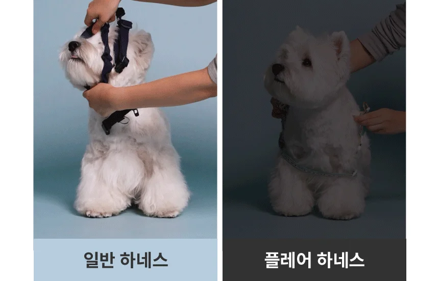 [무료배송] 리카리카 플레어 하네스 L자형 핑크/민트 M-L 8번째