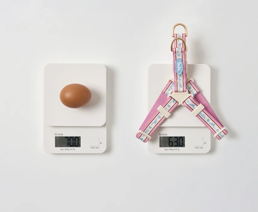 [무료배송] 리카리카 플레어 하네스 L자형 핑크/민트 M-L 5번째