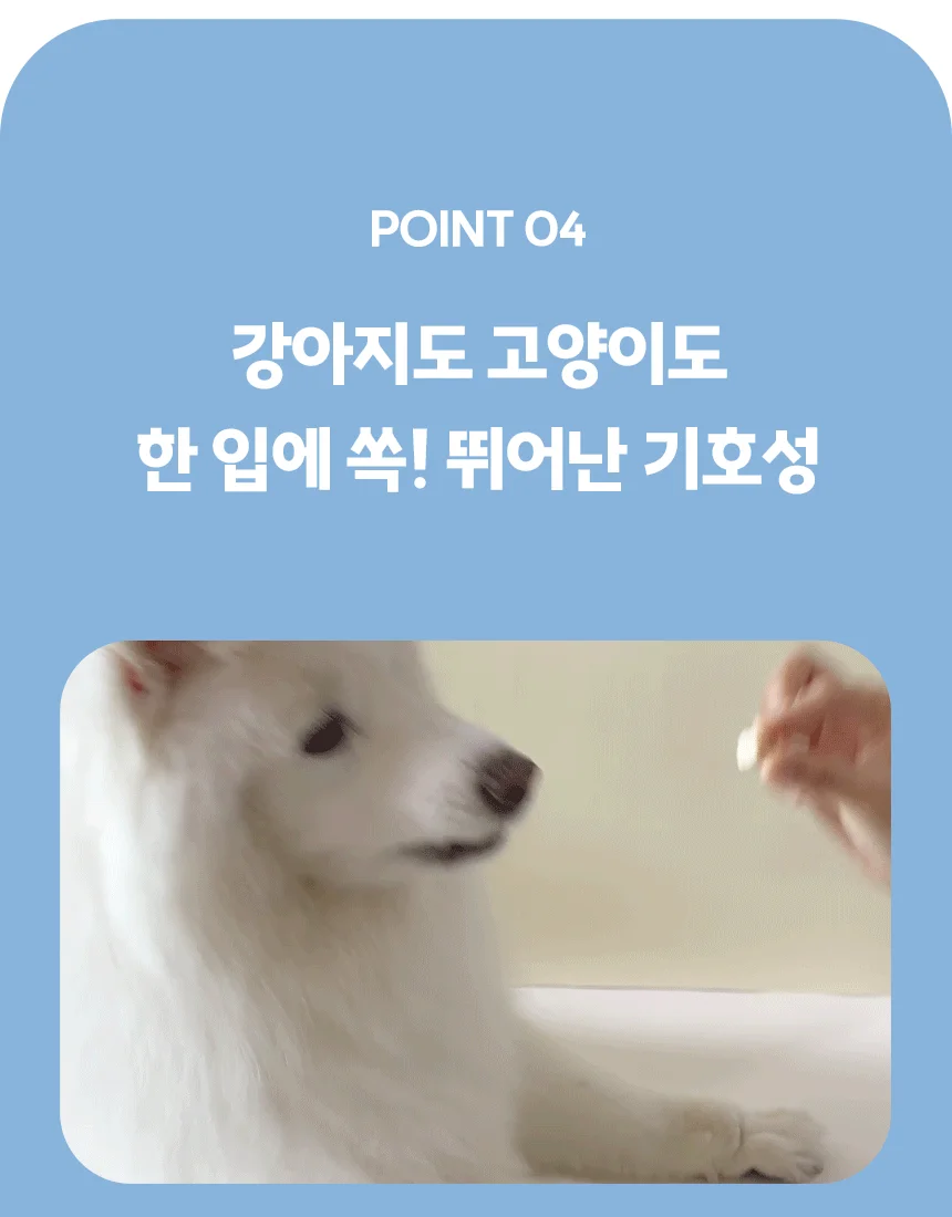 [NEW신상][무료배송] 찌부 동결건조 가자미트릿 30g 8번째