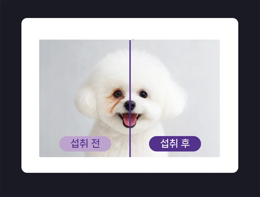 [NEW신상][무료배송] 헬시얌 아이즈 눈&눈물자국 영양제 120정 8번째