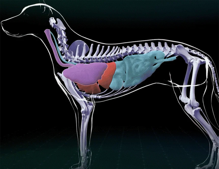 [NEW신상][무료배송] 헬시얌 브레스 기침&기관지 영양제 120정 8번째