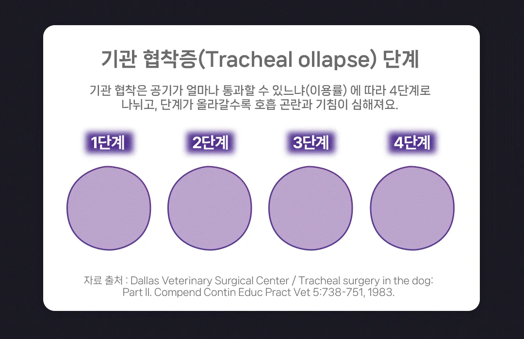 [NEW신상][무료배송] 헬시얌 브레스 기침&기관지 영양제 120정 9번째