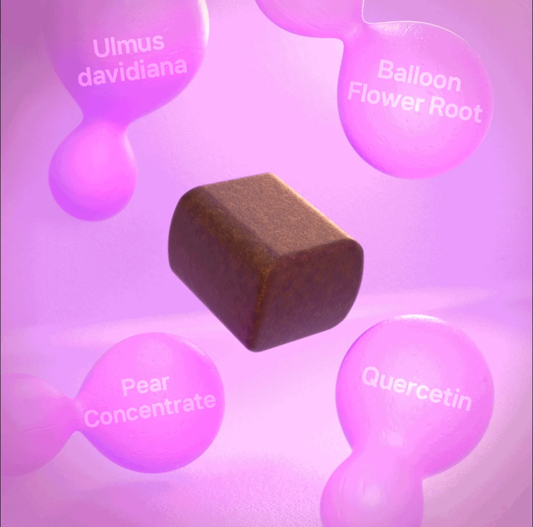 [NEW신상][무료배송] 헬시얌 브레스 기침&기관지 영양제 120정 14번째