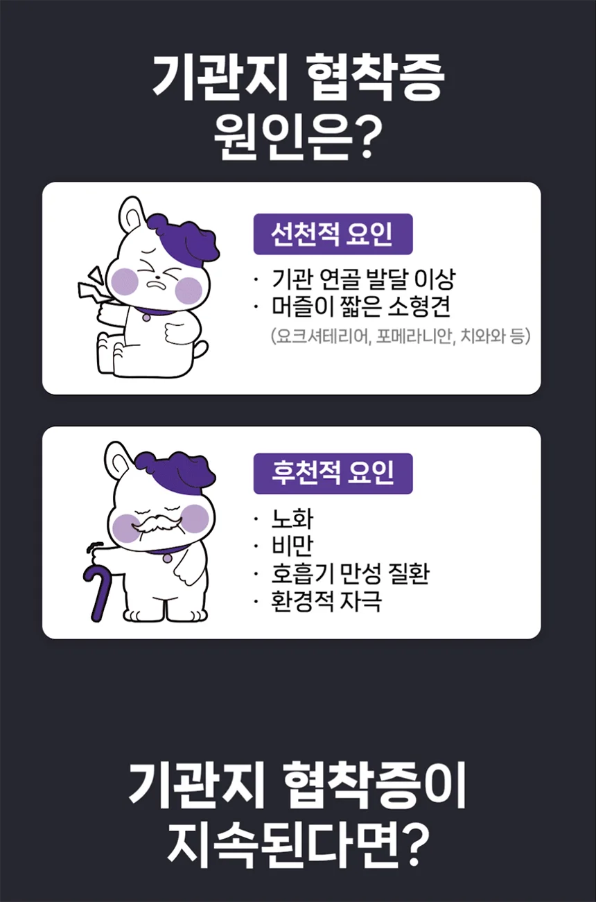 [NEW신상][무료배송] 헬시얌 브레스 기침&기관지 영양제 120정 10번째