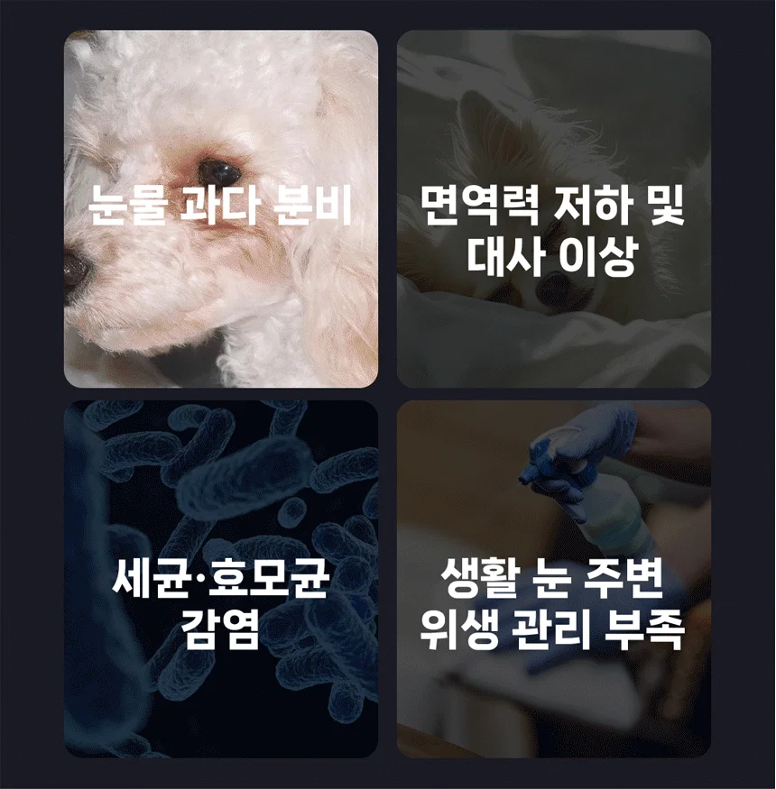 [NEW신상][무료배송] 헬시얌 아이즈 눈&눈물자국 영양제 120정 10번째