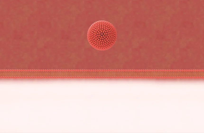 [브랜드전]펫생각 임상완료 리포좀 후코이단 프로 씨놀  종합 항산화제 종양 항염 영양제 30정 32번째