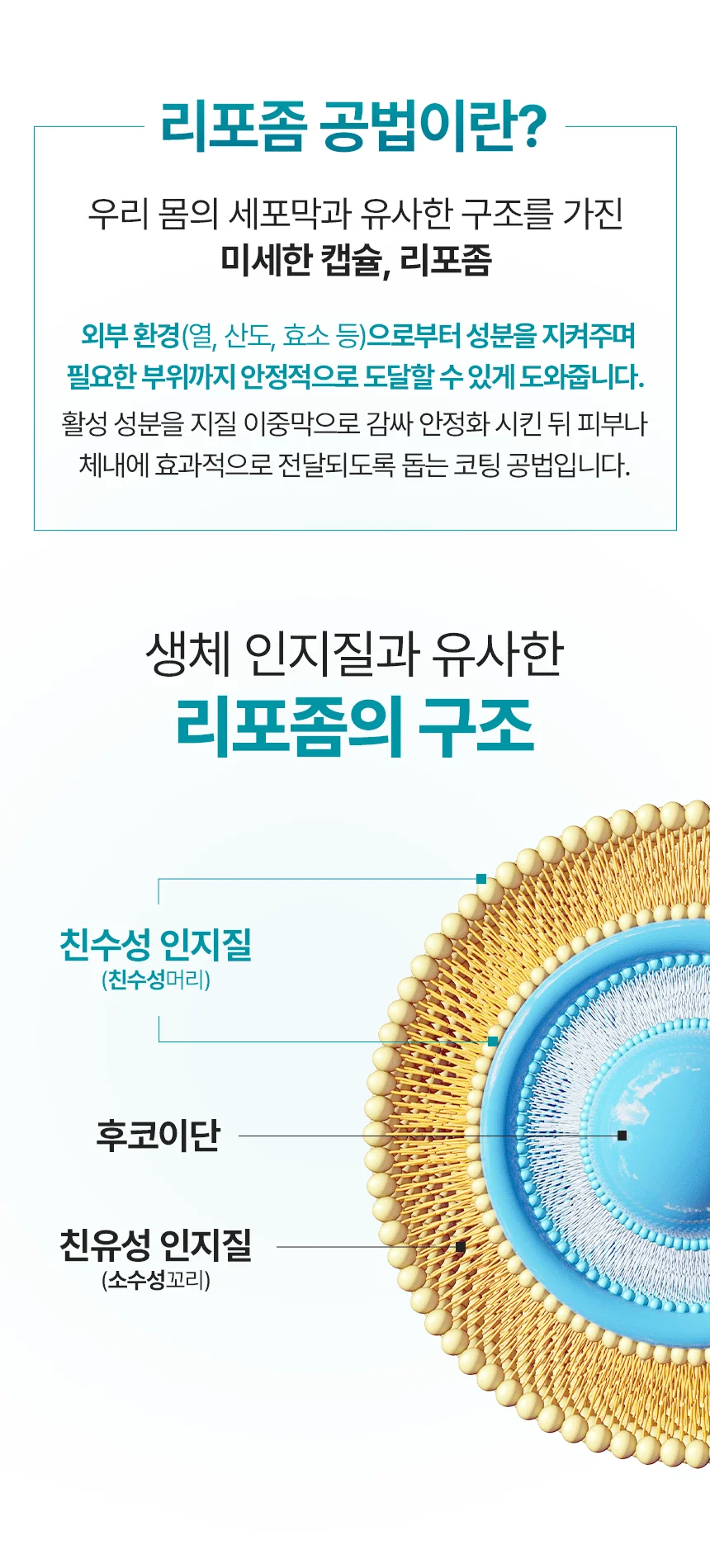 펫생각 임상완료 리포좀 후코이단 프로 씨놀  종합 항산화제 종양 항염 영양제 30정 31번째