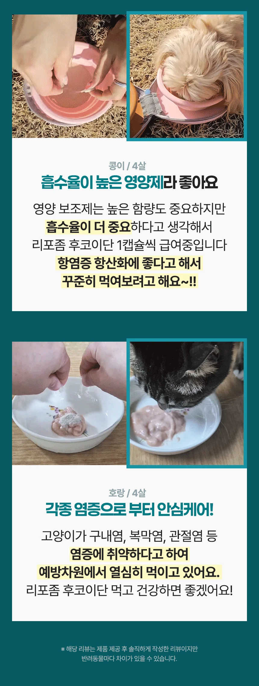 펫생각 임상완료 리포좀 후코이단 프로 씨놀  종합 항산화제 종양 항염 영양제 30정 20번째