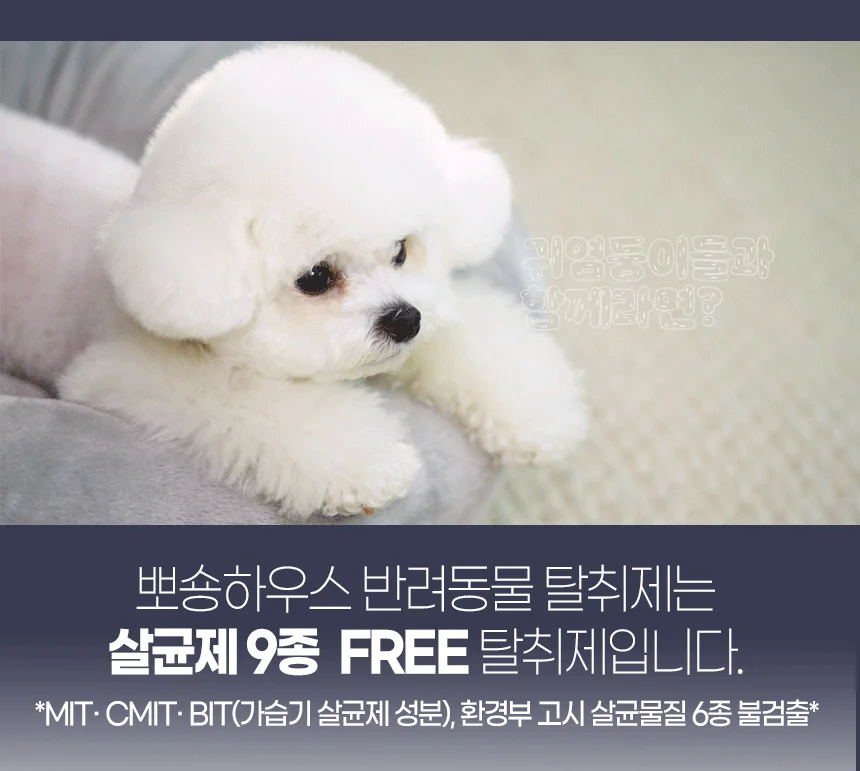 [무료배송] 뽀숑하우스 3無 반려동물 탈취제 13L (무색소, 무향료, 무살균제) 5번째