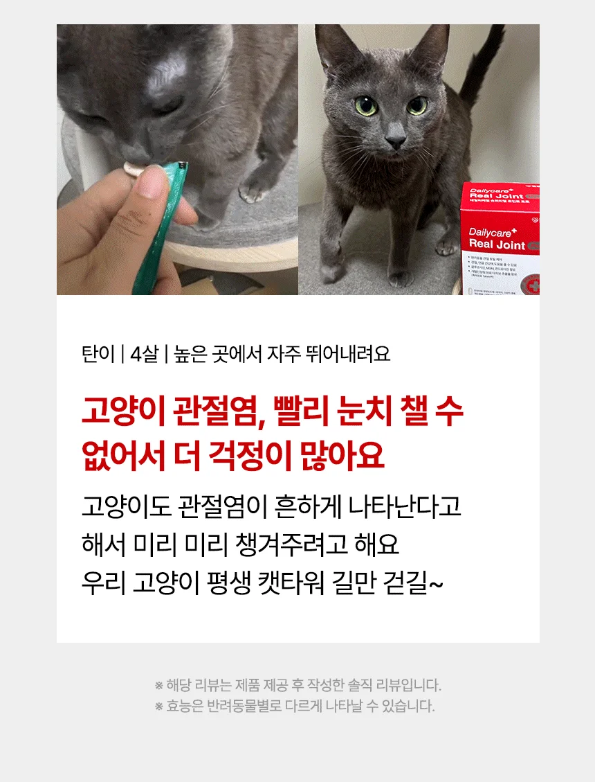 [브랜드전]펫생각 임상완료 조인트 프로 관절 칼슘 슬개골 연골 영양제 60정 19번째