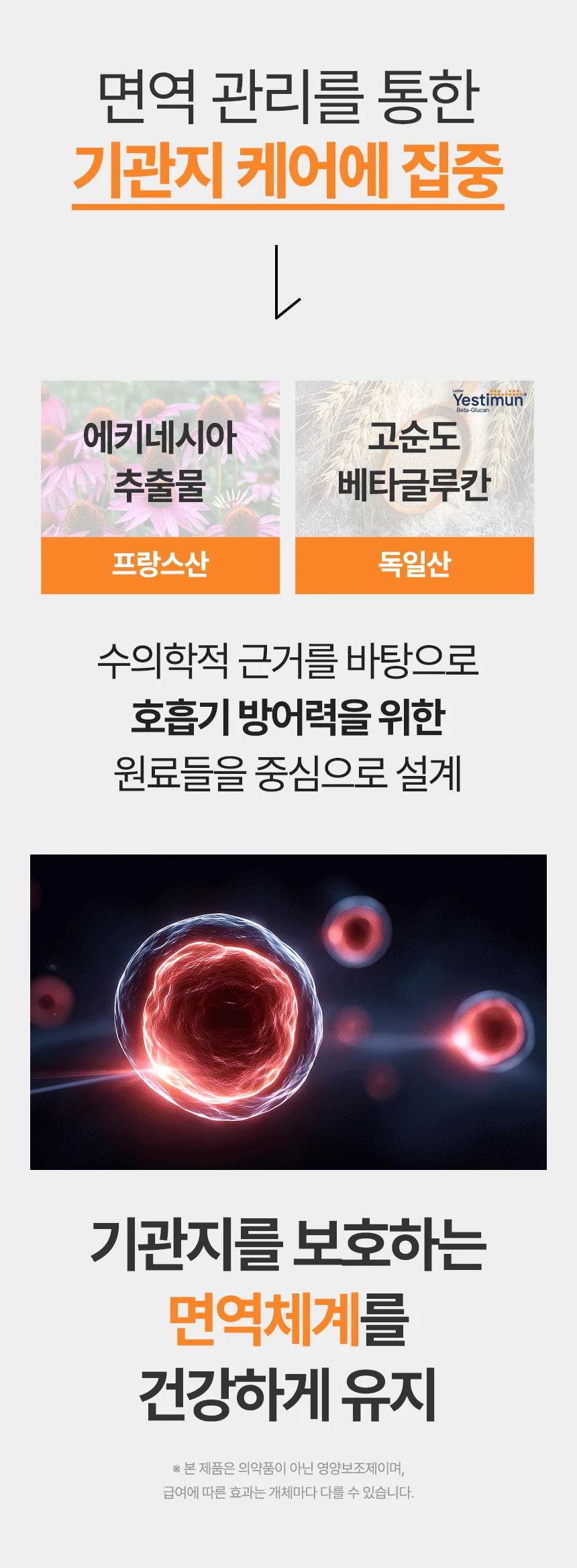 [브랜드전]펫생각 임상완료 브레스 프로 기관지 협착증 호흡기 면역 영양제 60정 8번째