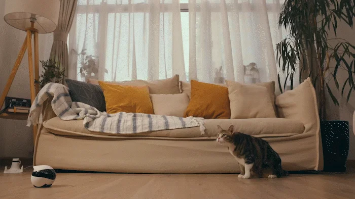 [NEW신상][무료배송] 에나봇 EBO 이보 SE 움직이는 이동식CCTV 자동충전 홈캠 27번째