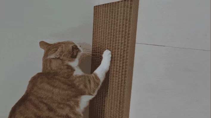 [NEW신상][무료배송] 캣츠크라프트 고강도 평판 벽부착 스크래쳐 3종 13번째