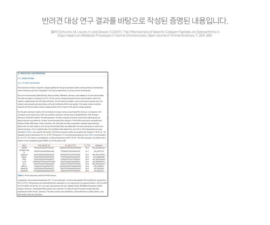 [NEW신상][무료배송] 헬시얌 조인트 뼈&관절 강화 영양제 120정 21번째