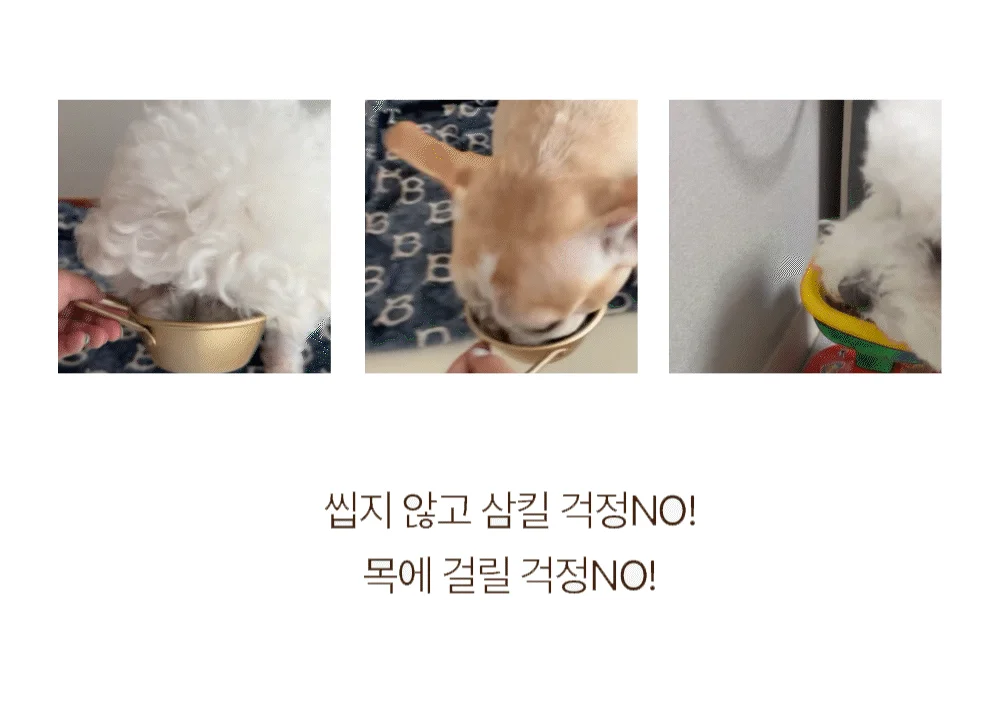 올바른끼니 독 플러스 소고기&초록입홍합 관절건강 1.2kg 26번째