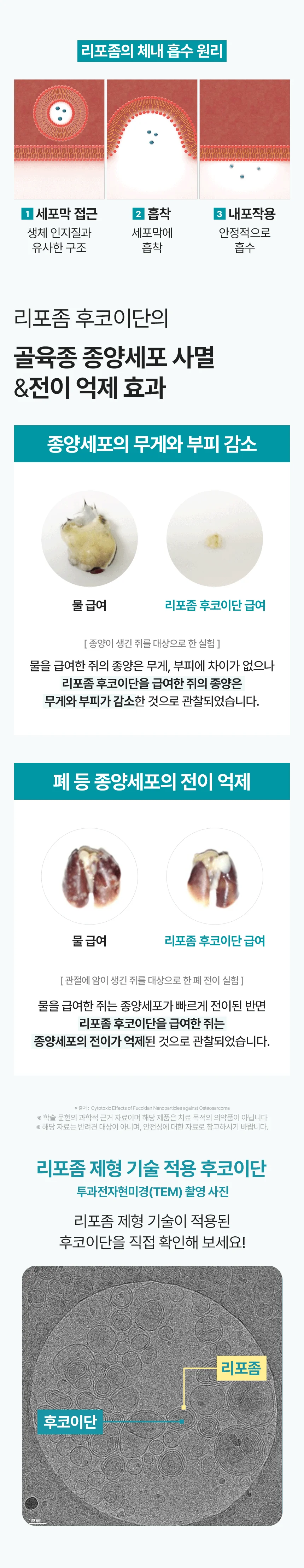 [브랜드전]펫생각 임상완료 리포좀 후코이단 프로 씨놀  종합 항산화제 종양 항염 영양제 30정 33번째