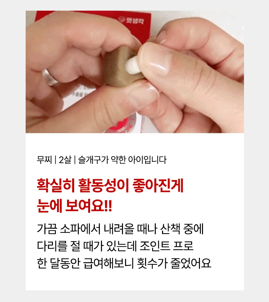 [브랜드전]펫생각 임상완료 조인트 프로 관절 칼슘 슬개골 연골 영양제 60정 18번째