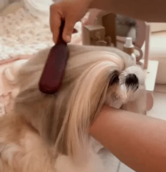 [무료배송] 바스몽 몽블링 보습 에센스 데일리 미스트 500ml 18번째