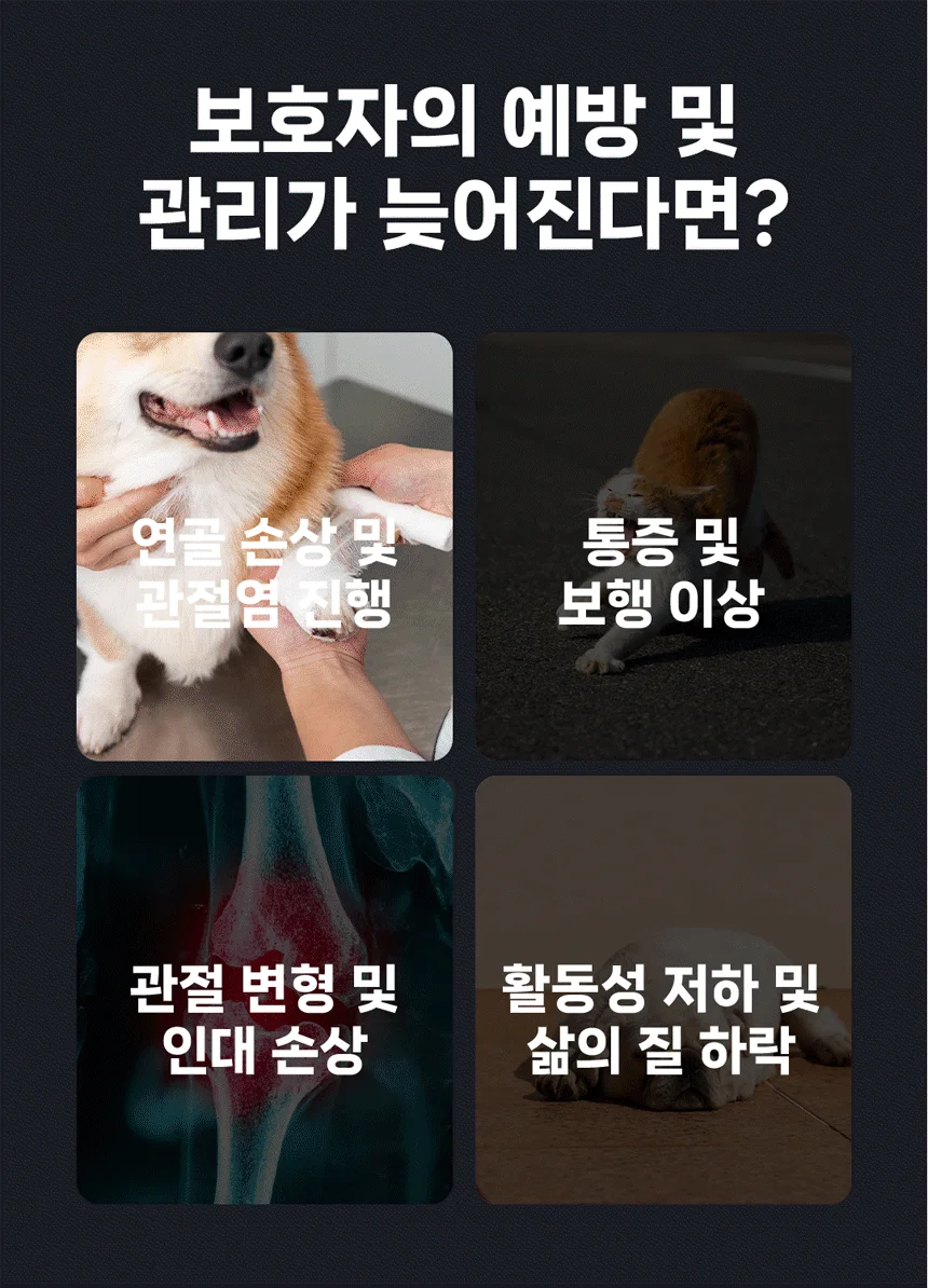 [NEW신상][무료배송] 헬시얌 조인트 뼈&관절 강화 영양제 120정 13번째