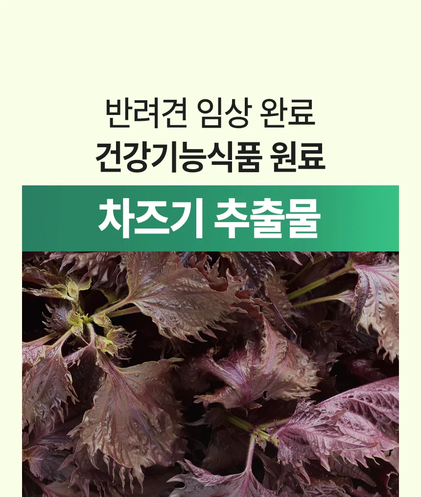 [브랜드전]펫생각 임상완료 아이즈 프로 눈 눈물자국 백내장 염증 루테인 영양제 60정 22번째