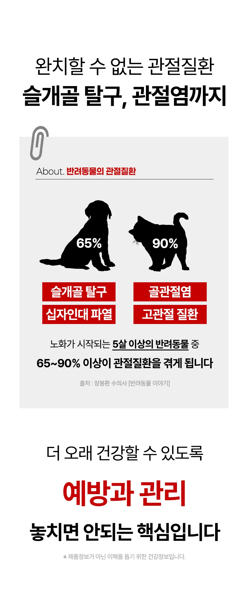 [브랜드전]펫생각 임상완료 조인트 프로 관절 칼슘 슬개골 연골 영양제 60정 12번째