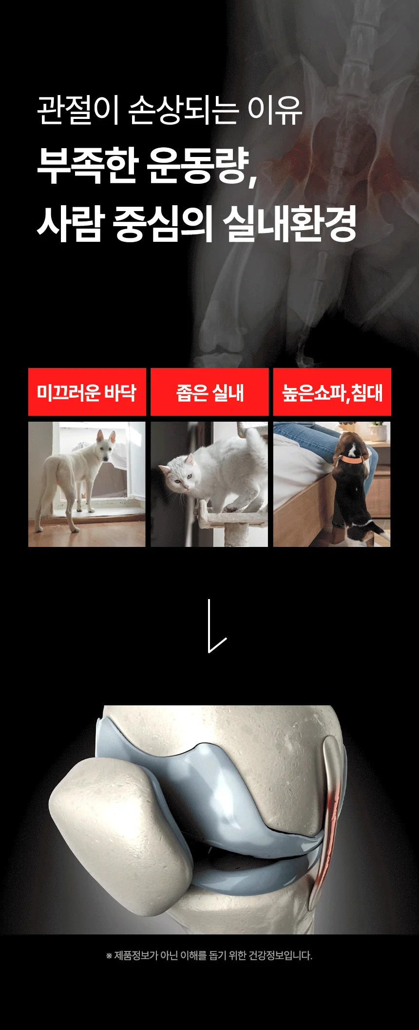 [브랜드전]펫생각 임상완료 조인트 프로 관절 칼슘 슬개골 연골 영양제 60정 11번째