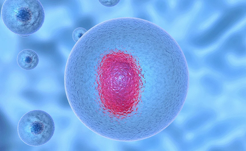 [브랜드전]펫생각 임상완료 아이즈 프로 눈 눈물자국 백내장 염증 루테인 영양제 60정 32번째