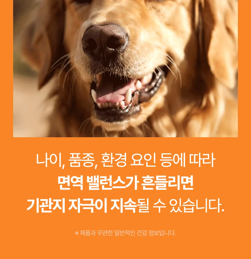 [브랜드전]펫생각 임상완료 브레스 프로 기관지 협착증 호흡기 면역 영양제 60정 7번째