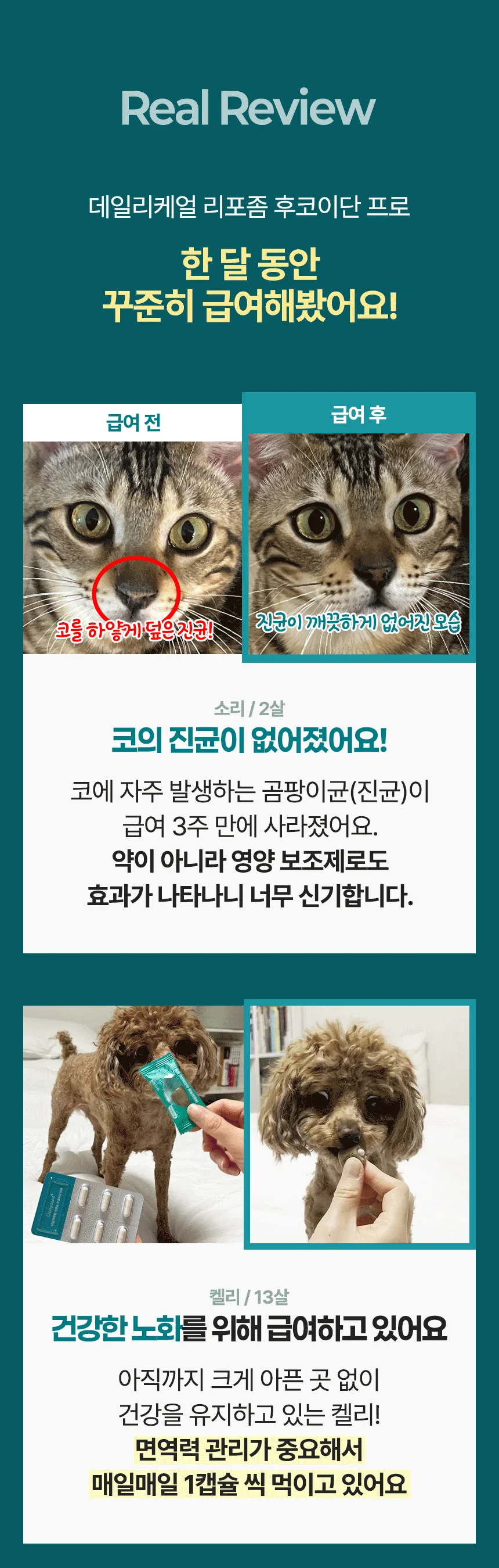 [브랜드전]펫생각 임상완료 리포좀 후코이단 프로 씨놀  종합 항산화제 종양 항염 영양제 30정 19번째