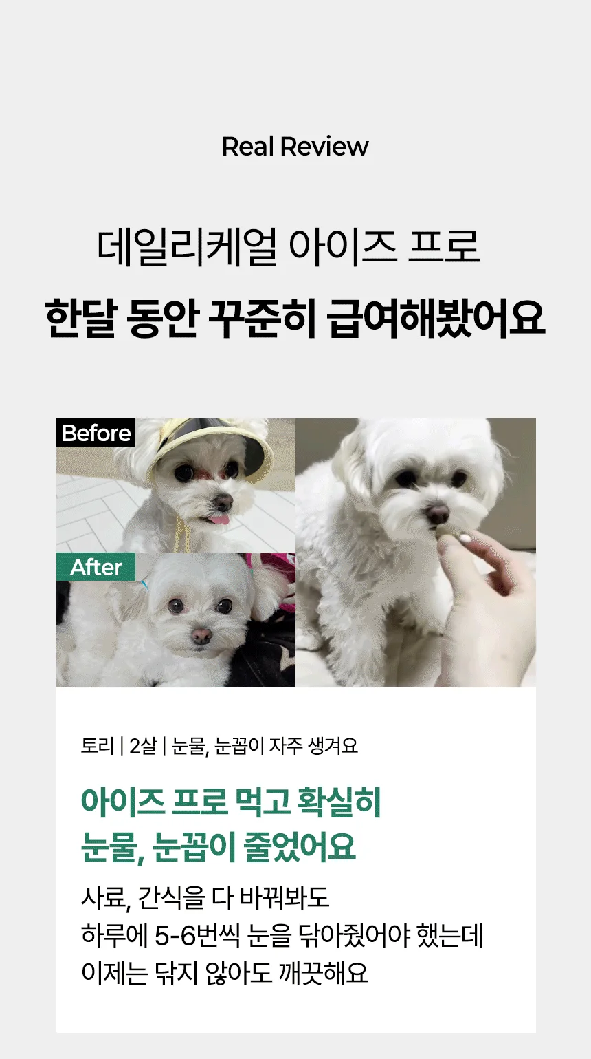 [브랜드전]펫생각 임상완료 아이즈 프로 눈 눈물자국 백내장 염증 루테인 영양제 60정 19번째