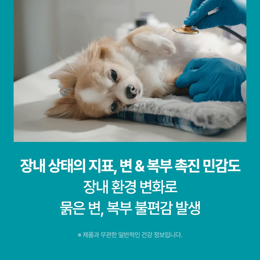 [브랜드전]펫생각 임상완료 리포좀 후코이단 프로 씨놀  종합 항산화제 종양 항염 영양제 30정 8번째