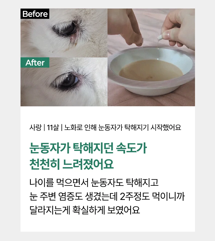 [브랜드전]펫생각 임상완료 아이즈 프로 눈 눈물자국 백내장 염증 루테인 영양제 60정 20번째