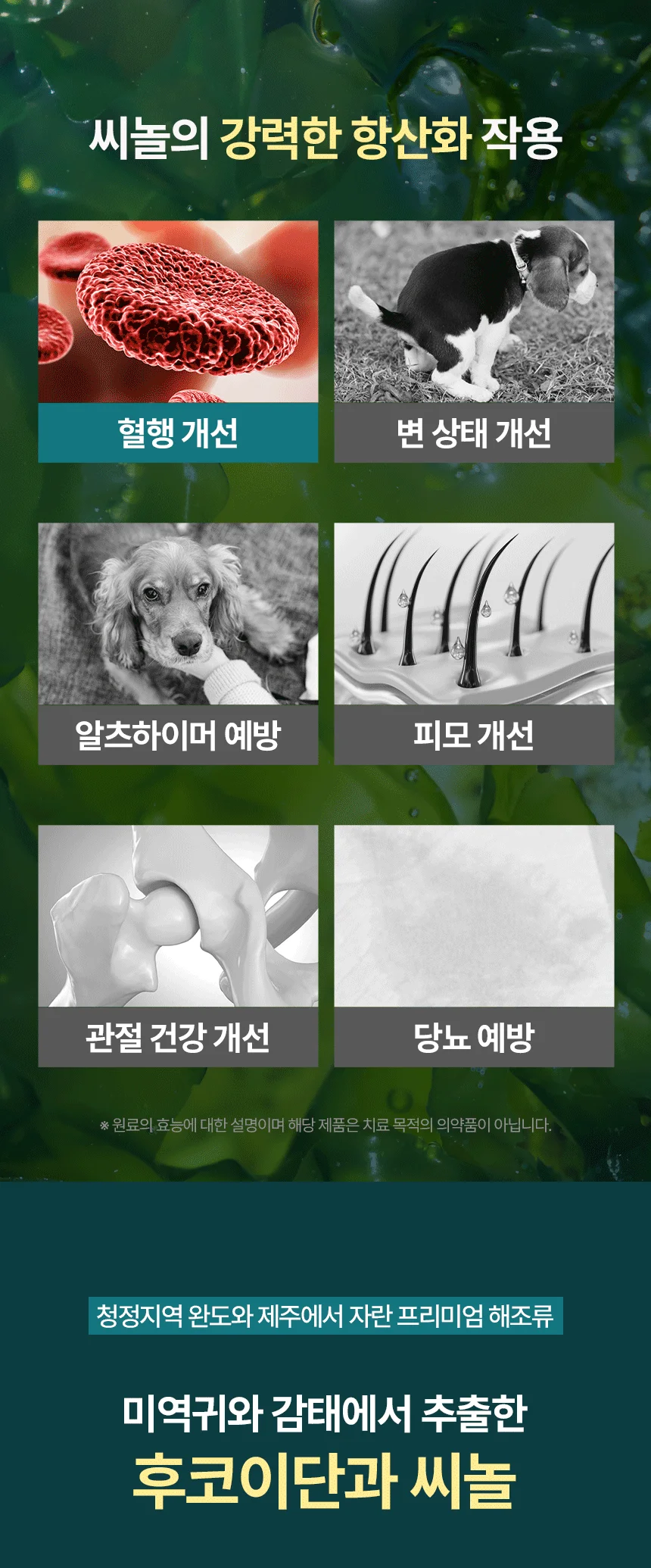 [브랜드전]펫생각 임상완료 리포좀 후코이단 프로 씨놀  종합 항산화제 종양 항염 영양제 30정 27번째