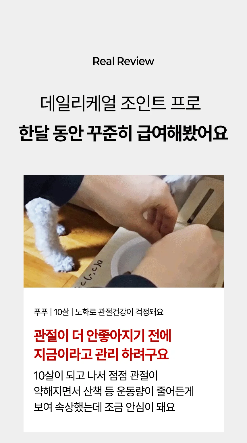 [브랜드전]펫생각 임상완료 조인트 프로 관절 칼슘 슬개골 연골 영양제 60정 17번째