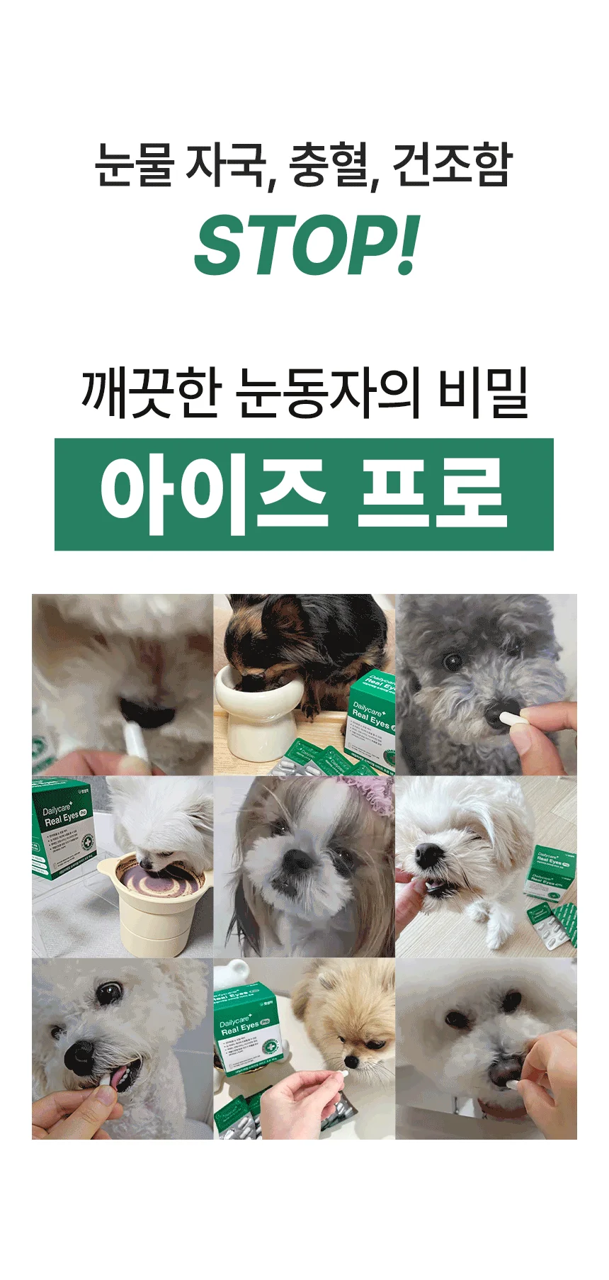 펫생각 임상완료 아이즈 프로 눈 눈물자국 백내장 염증 루테인 영양제 60정 12번째