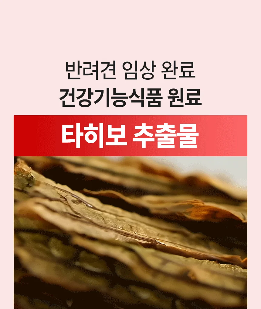 [브랜드전]펫생각 임상완료 조인트 프로 관절 칼슘 슬개골 연골 영양제 60정 20번째