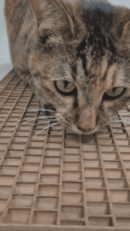 [NEW신상][무료배송] 캣츠크라프트 고강도 평판 벽부착 스크래쳐 3종 12번째