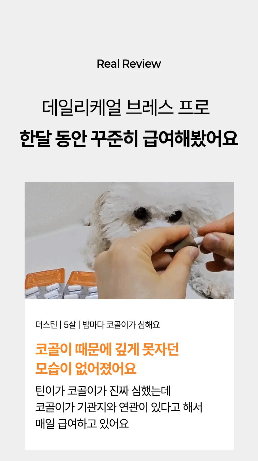 [브랜드전]펫생각 임상완료 브레스 프로 기관지 협착증 호흡기 면역 영양제 60정 19번째